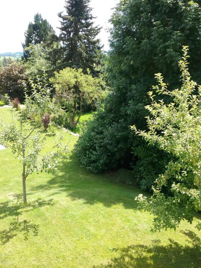Allgaeu Tipp 普夫龙滕 外观 照片